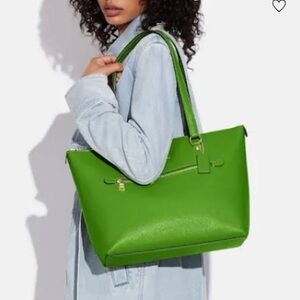 Neon Green Bag